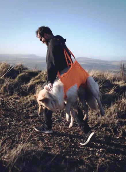 Non-Stop Dog Rescue Sling (Rettungstrageschlaufe)